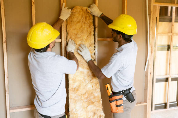 Best Attic Insulation Installation  in Maple Heights, OH