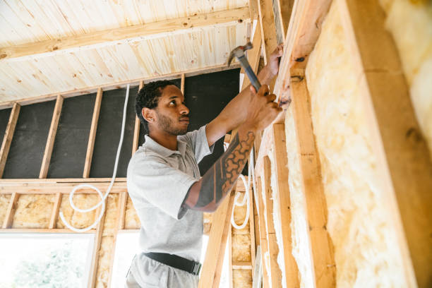 Best Attic Insulation Installation  in Maple Heights, OH